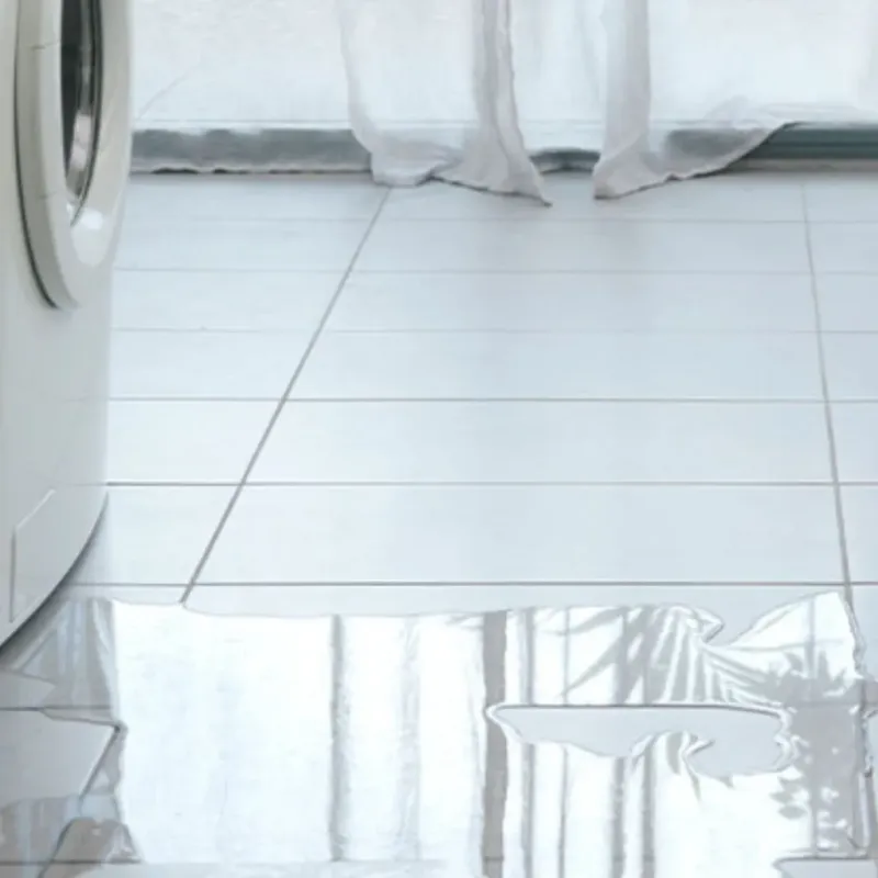 Appliance Leak Cleanup in New London, MO