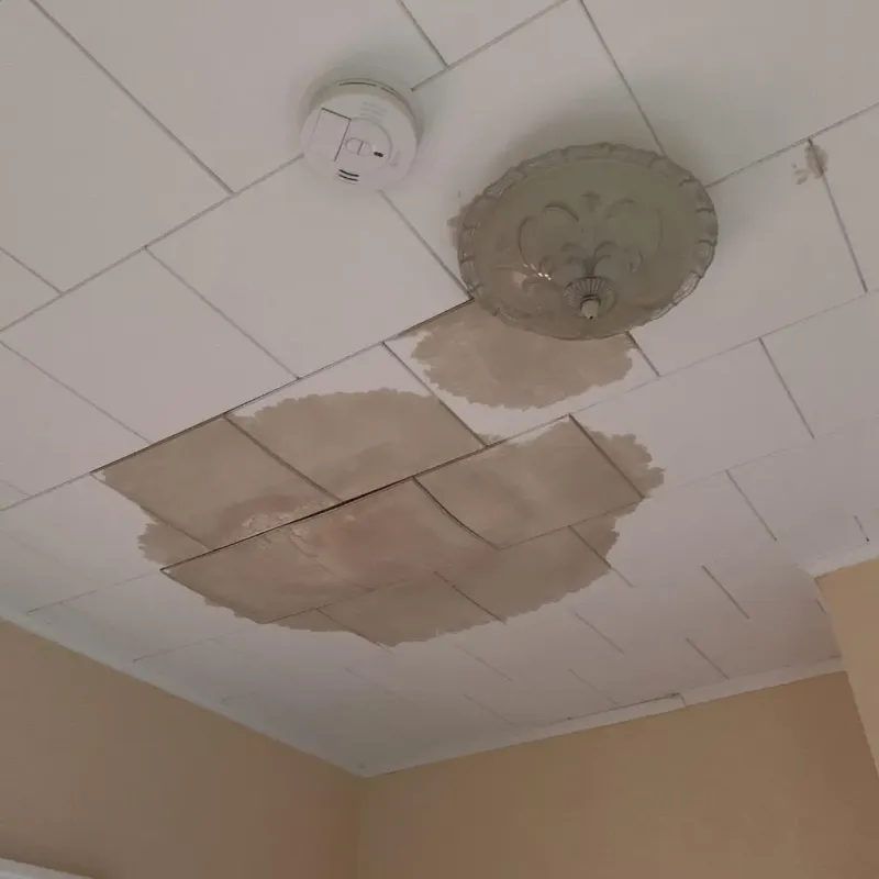 Ceiling Water Damage Repair in New London, MO