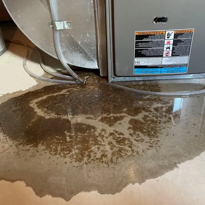 Pipe Burst and Leak Restoration in New London, MO