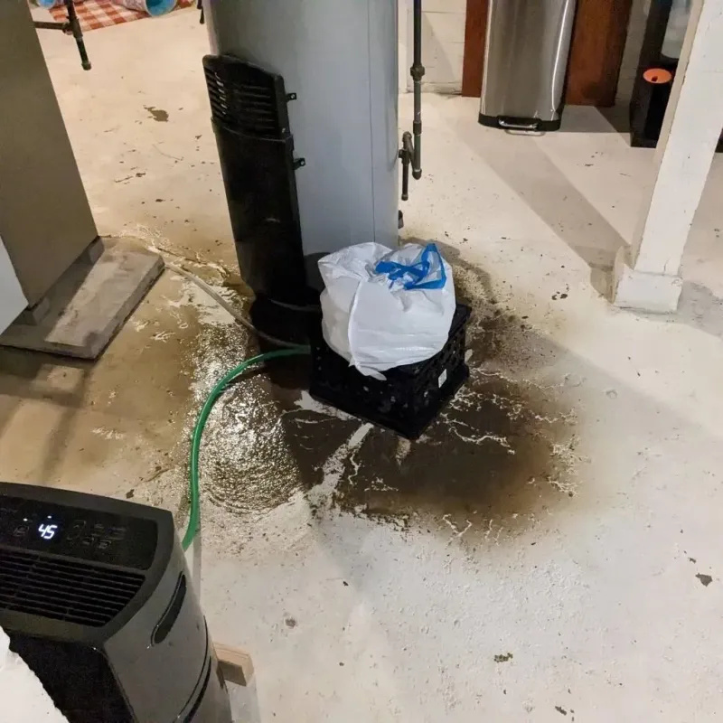 Sewage Backup Cleanup Service in New London, MO